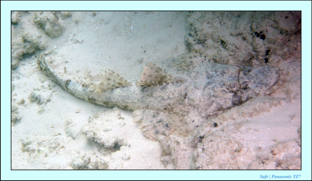 2009   07   Matakin 01